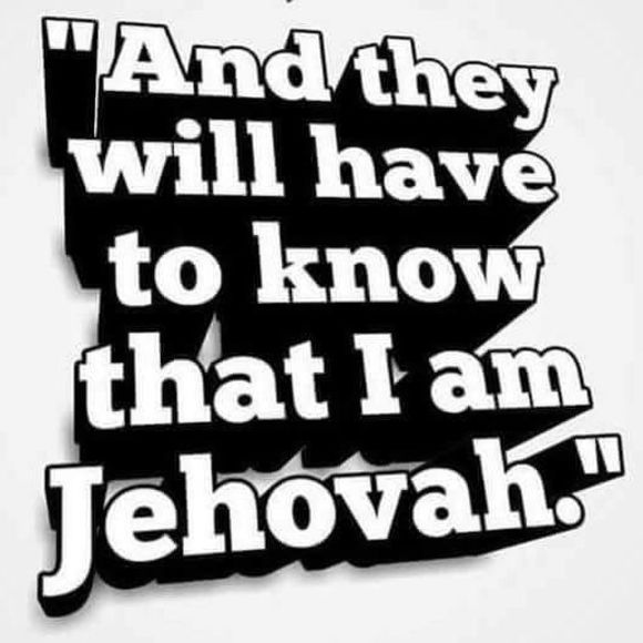 Meet your Posher, Adam - Picture 1 of 1